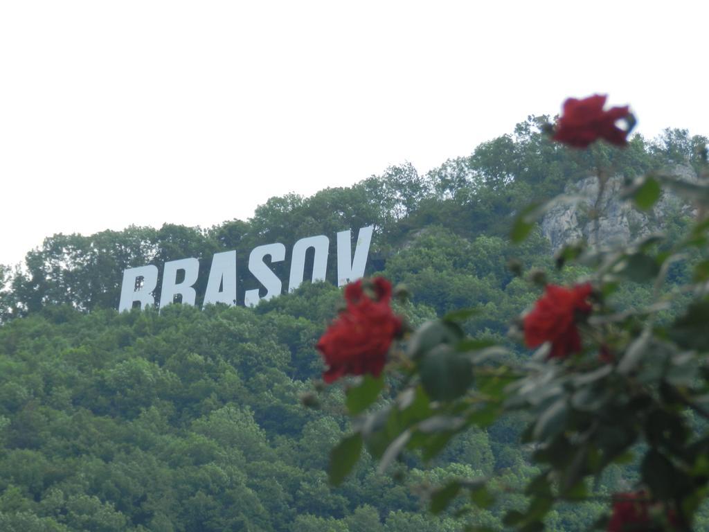 La Vita E Bella Braşov Exterior foto